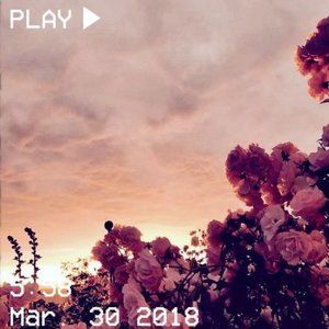 Meet your Posher, Neva